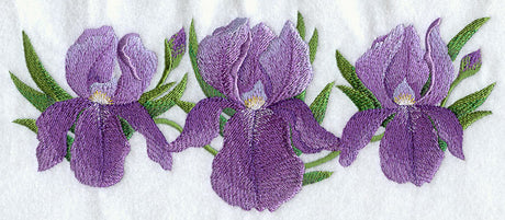 Iris Border