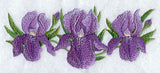 Iris Border