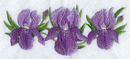 Iris Border