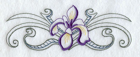 Iris Border (Vintage)