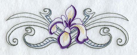 Iris Border (Vintage)