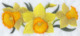 Daffodil Border