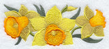 Daffodil Border