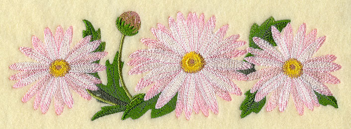 Daisy Border