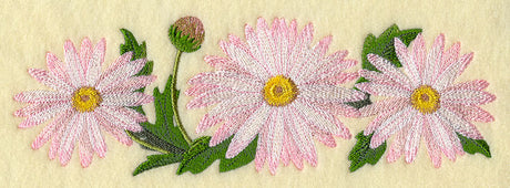 Daisy Border