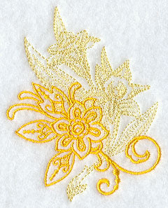 Daffodil Echo in Bloom