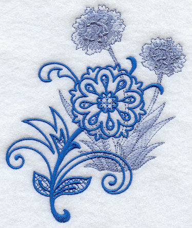 Agapanthus Echo in Bloom