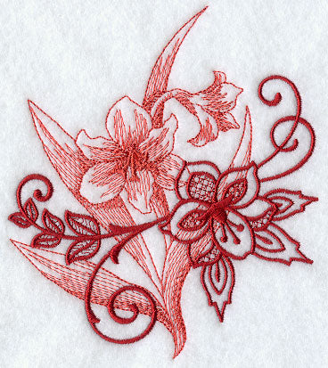 Amaryllis Echo in Bloom