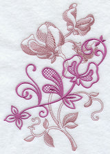 Sweet Pea Echo in Bloom