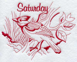 Saturday Steller's Jay (Redwork)