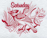 Saturday Steller's Jay (Redwork)