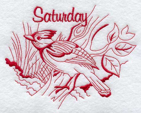 Saturday Steller's Jay (Redwork)