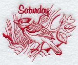 Saturday Steller's Jay (Redwork)