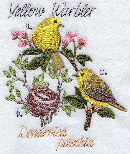 Yellow Warbler and Nest Sketch