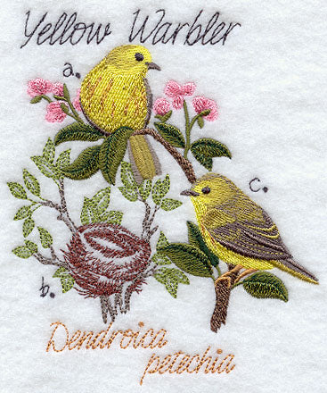 Yellow Warbler and Nest Sketch