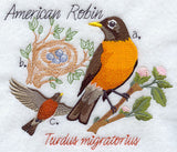 Robin and Nest Sketch