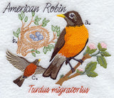 Robin and Nest Sketch