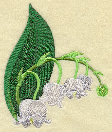 Lily of the Valley