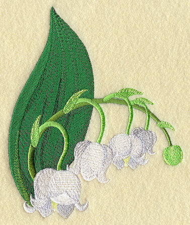 Lily of the Valley