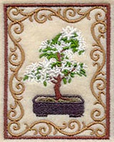 Bonsai Tree in Bloom with Border