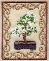 Bonsai Tree in Bloom with Border
