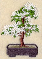 Bonsai Tree in Bloom