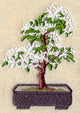 Bonsai Tree in Bloom