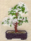Bonsai Tree in Bloom