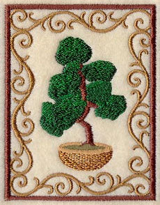 Bonsai Tree with Border