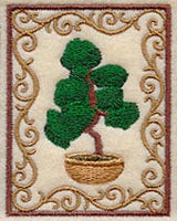 Bonsai Tree with Border