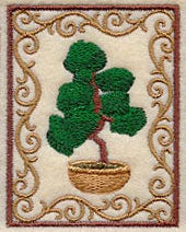 Bonsai Tree with Border