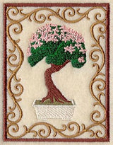 Bonsai Tree in Cherry Blossom Bloom with Border