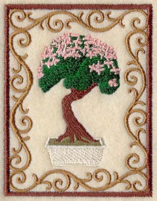 Bonsai Tree in Cherry Blossom Bloom with Border