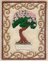 Bonsai Tree in Cherry Blossom Bloom with Border