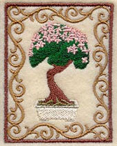 Bonsai Tree in Cherry Blossom Bloom with Border