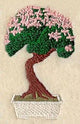 Bonsai Tree in Cherry Blossom Bloom
