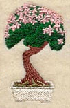 Bonsai Tree in Cherry Blossom Bloom