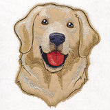 Sweet Golden Retriever (Heirloom Applique)