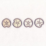 By the Sea Border - Sand Dollar (Applique)