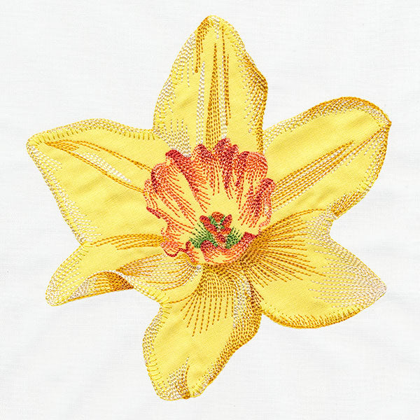 Contours of Beauty Daffodil (Applique)
