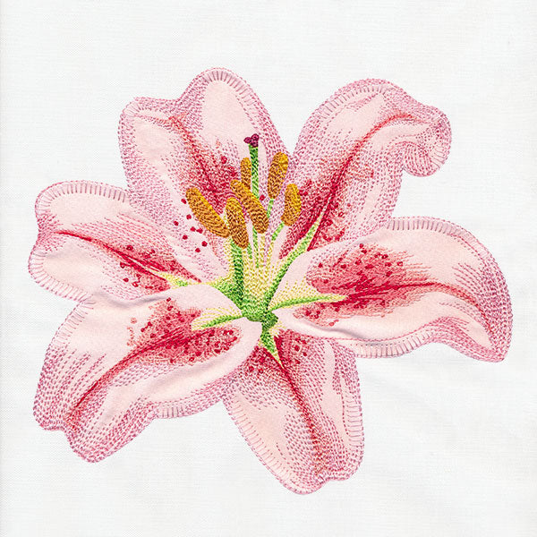 Contours of Beauty Lily (Applique)