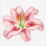 Contours of Beauty Lily (Applique)