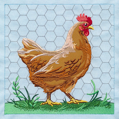 Chicken Build-a-Scene Square 1 (Applique)