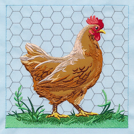 Chicken Build-a-Scene Square 1 (Applique)