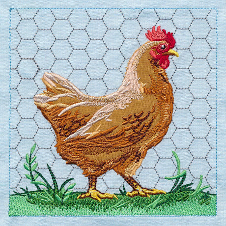 Chicken Build-a-Scene Square 1 (Applique)