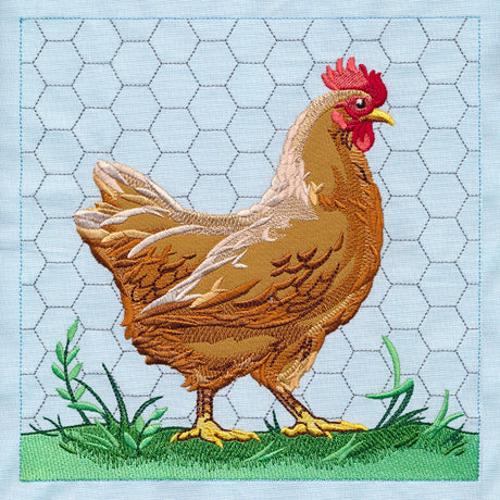 Chicken Build-a-Scene Square 1 (Applique)