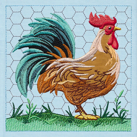 Chicken Build-a-Scene Square 2 (Applique)