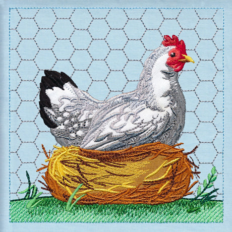 Chicken Build-a-Scene Square 3 (Applique)