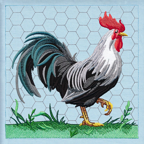 Chicken Build-a-Scene Square 4 (Applique)