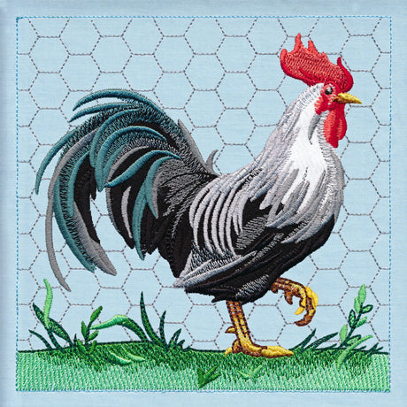 Chicken Build-a-Scene Square 4 (Applique)
